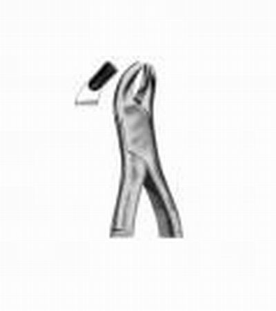 Upper molars left side 