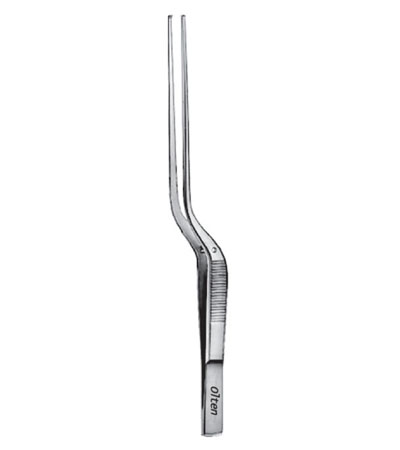 Taylor Dissecting Forceps with Dissector end
