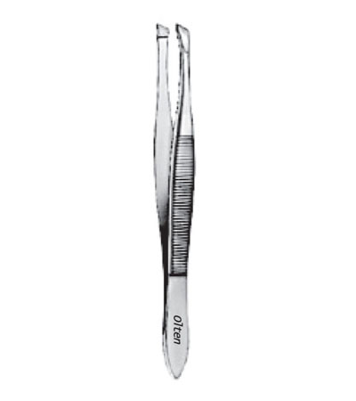 Standard Celia Forceps 