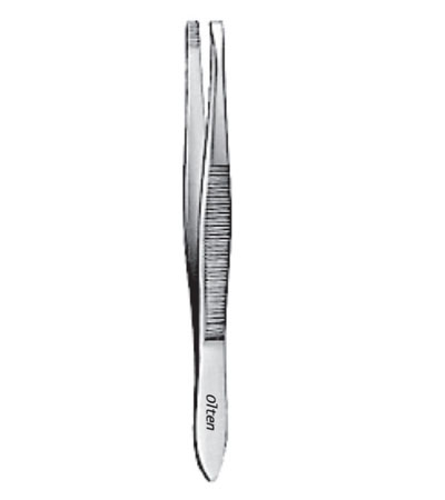 Douglas Celia Forceps 