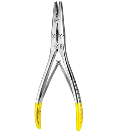 Standard Flat Nose Plier