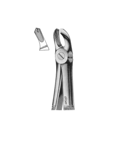 Upper molars