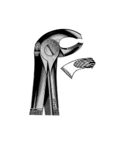 Right lower molars