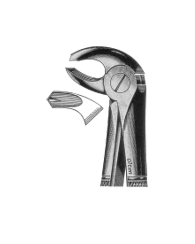 Left lower molars