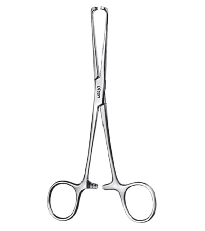 Steinmann Tendon Holding Forcceps