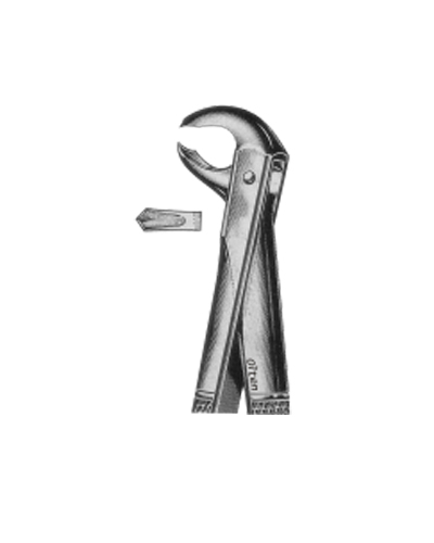 Lower molars(hawk's bill)