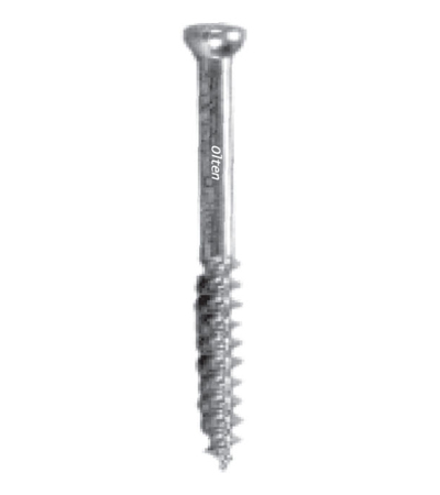 Cancellous Screw
