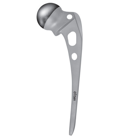 Austin Moore Hip Prothessis 