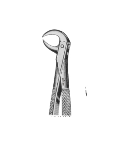 Lower molars