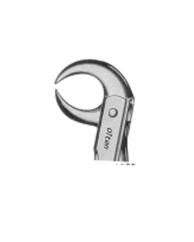 Lower molars