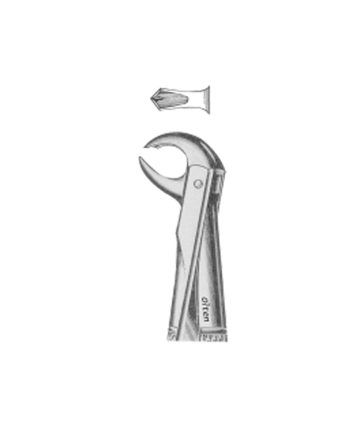 Lower molars broken down