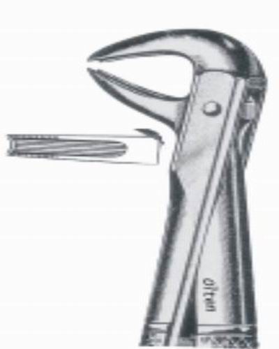 Lower canines and premolars