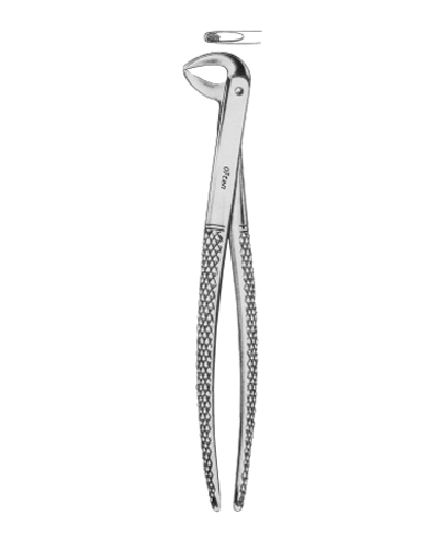 Children s lower teeth universal
