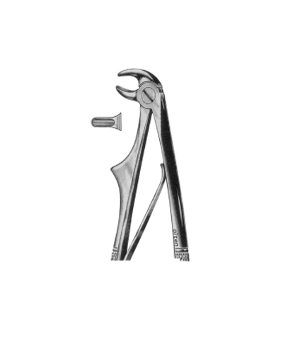 Lower incisors