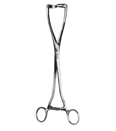 Collin Uterine Seizing Forceps