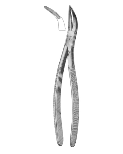 Universal pattern for upper teeth