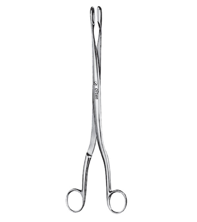 Winter Placenta and Ovum Forceps 