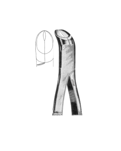 Lower Third molars