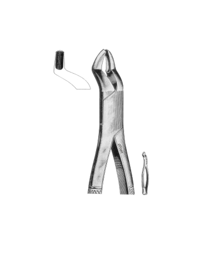 Upper molars straight-handle