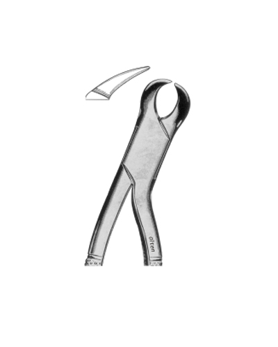 Lower morals cow-horn beak