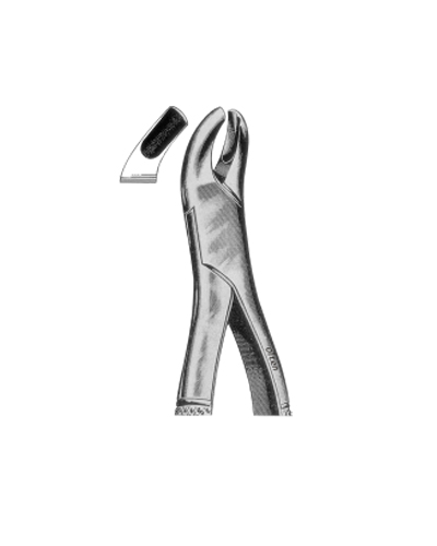 Upper molars left side