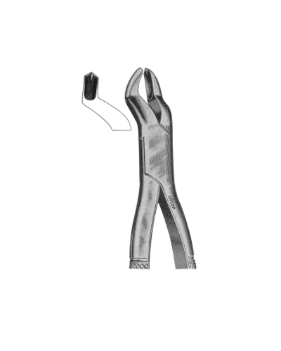 Upper molars left side