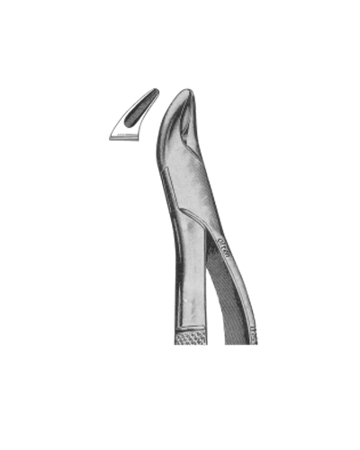 Universal forceps for upper teeth and roots