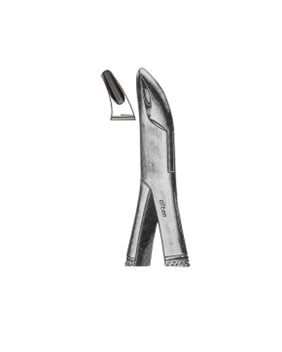 Universal forceps for permolars