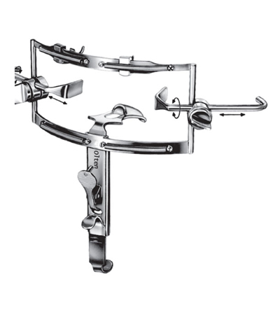 Dingmann Mouth Gag Complete Set