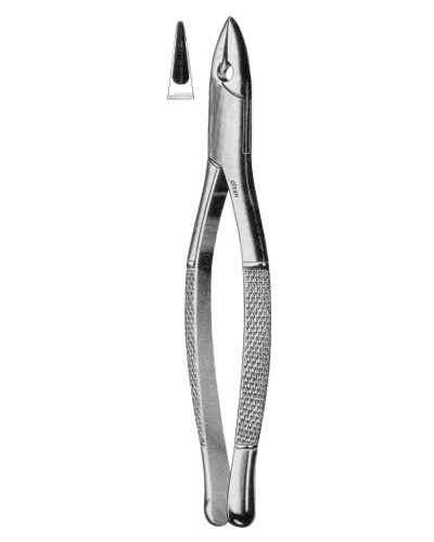 Upper Central Laterals n Cuspids