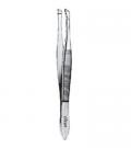 Standard Celia Forceps 