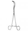 Guyon Kidney Pedicle Clamp