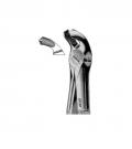 Lower molars