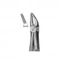 Upper Roots n Incisors