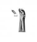 Lower molars