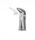 Separating lower molars roots
