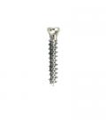 Cancellous Screw