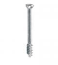 Cancellous Screw
