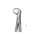 Lower molars