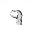 Lower molars