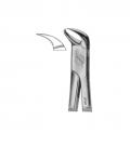 Cowhorn beak