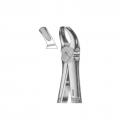 Left upper molars