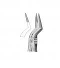 Lower roots parallel beaks