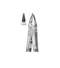 Universal Forceps for upper wisdoms n premolars an
