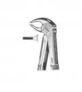 Lower incisors n premolars and roots