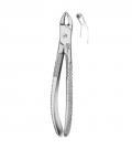 Children s lower molars universal