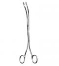 Desjardins Gall Stone Forceps