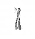 Upper molars