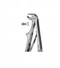 Lower molars