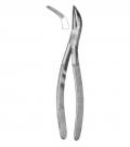 Universal pattern for upper teeth